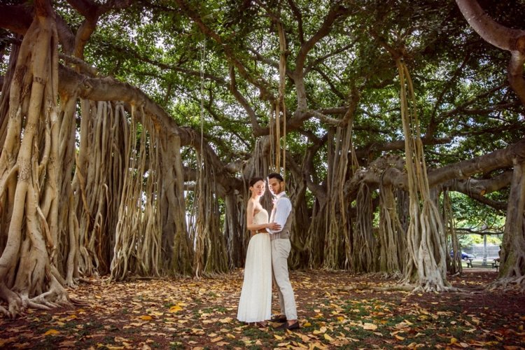 バニアンツリーもハワイ名物