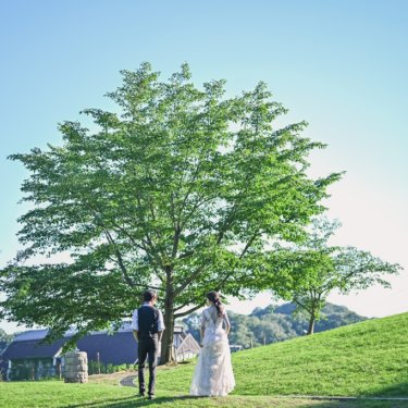 生命力ある一本の大木と一緒に！