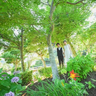 南国に生えていそうな植物たちと一緒に！