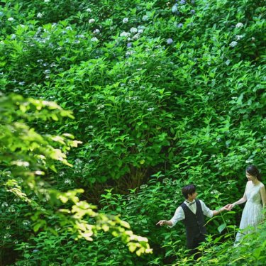 密林の中の様な写真も芸術的！