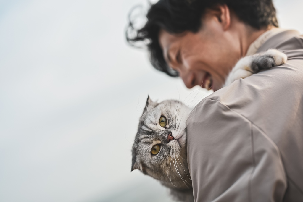 かわいい猫の写真