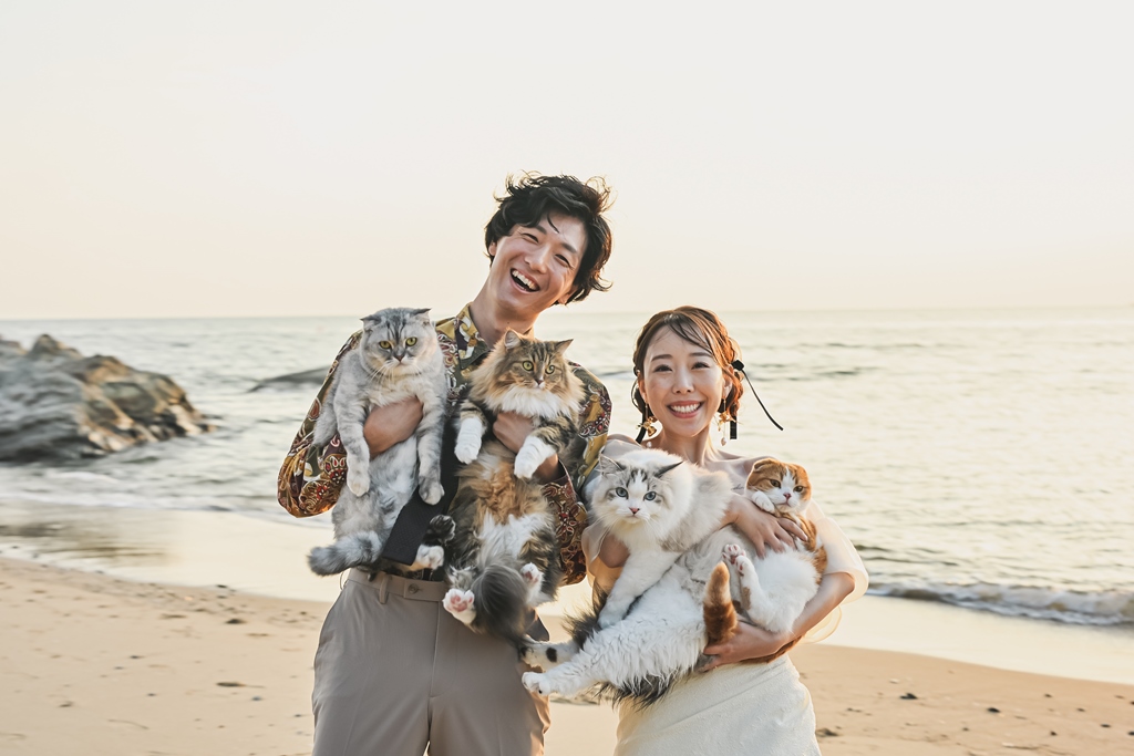 4匹の猫と新郎新婦