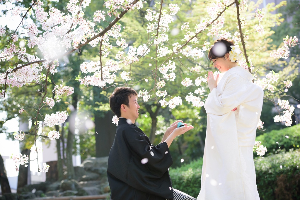 桜の木の下でプロポーズ
