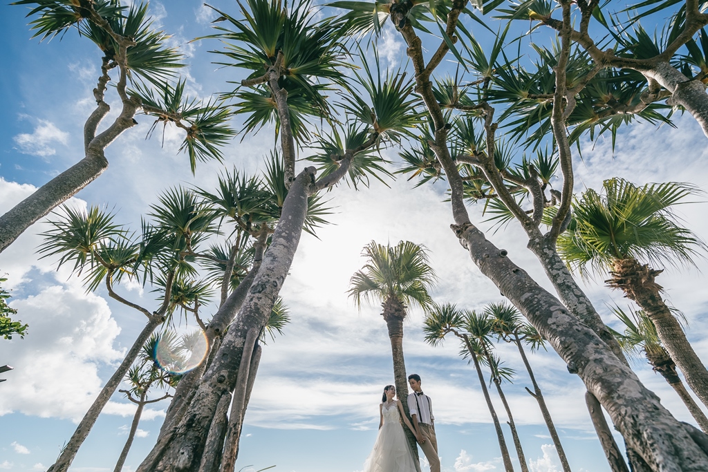沖縄のヤシの木と新郎新婦