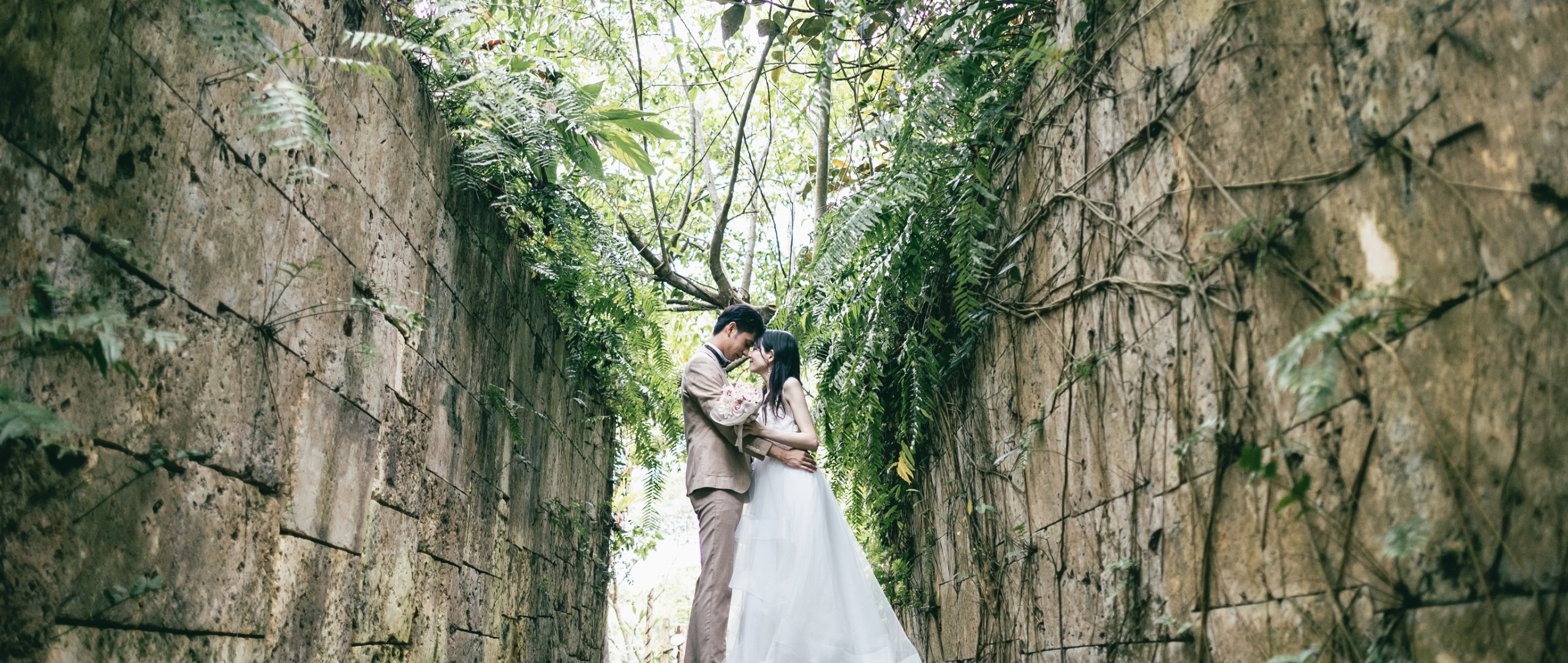 ビオスの丘メイン