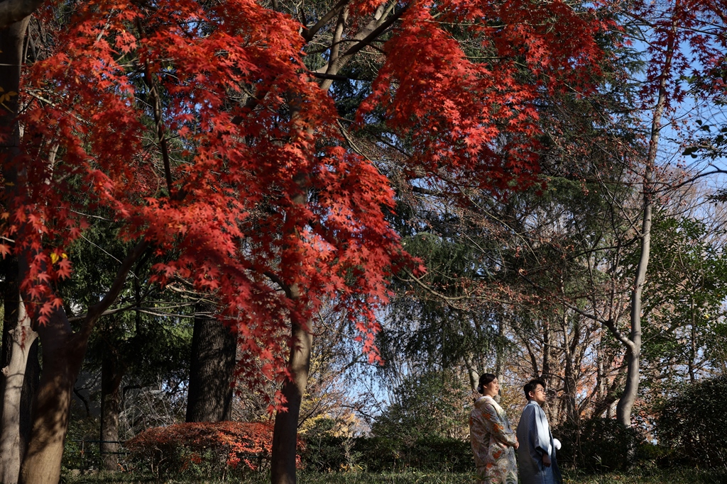 有栖川宮記念公園