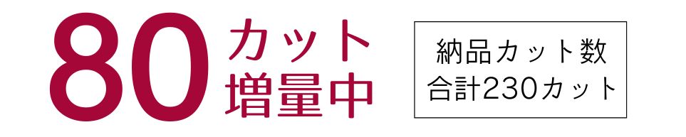 データカット数増量キャンペーン