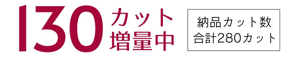 データカット数増量キャンペーン