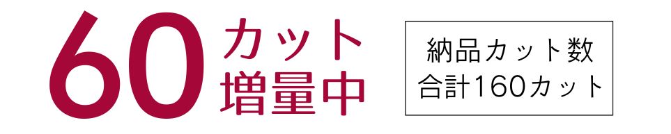 データカット数増量キャンペーン