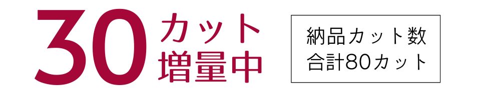 データカット数増量キャンペーン