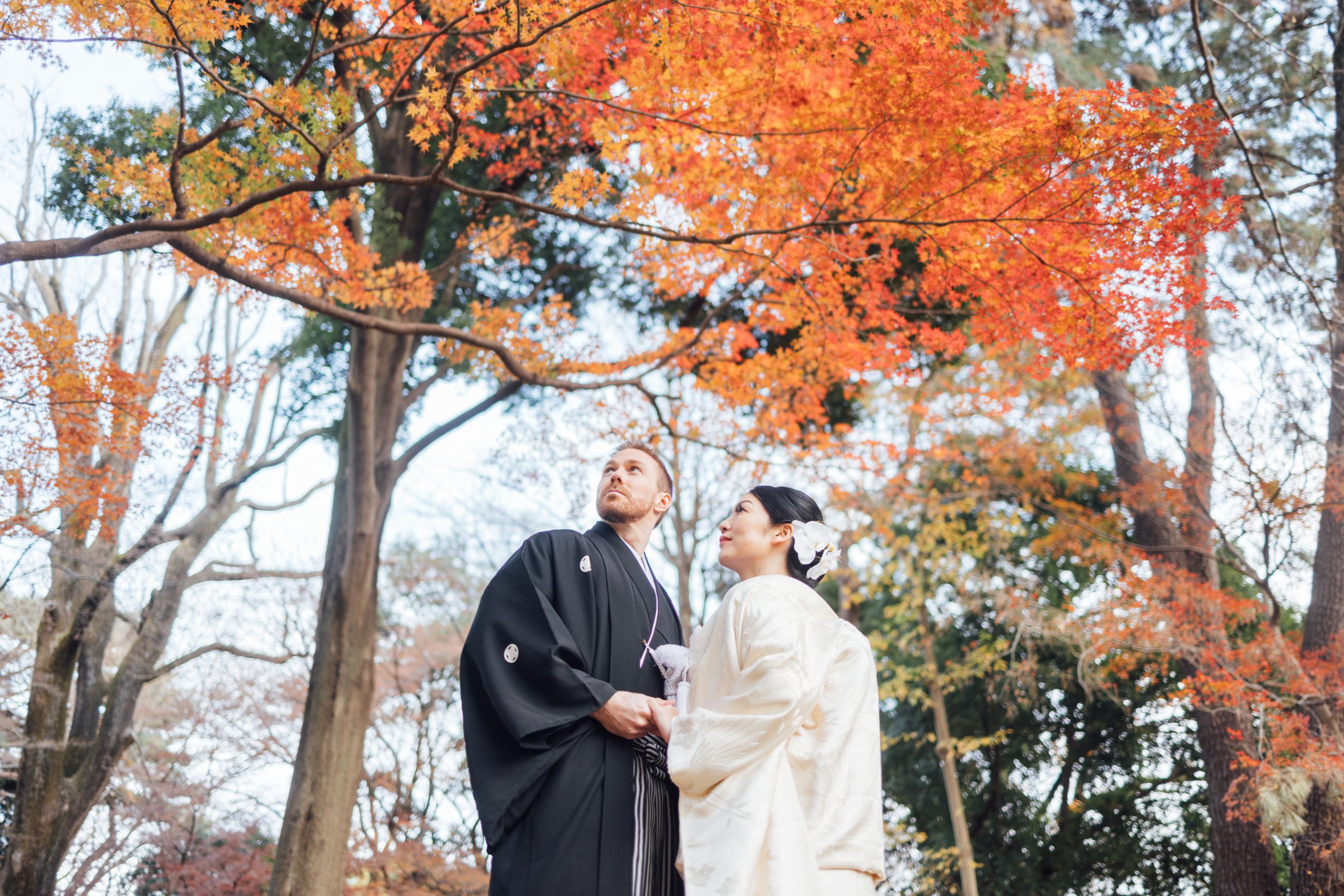 蘆花恒春園の季節と和装の組み合わせイメージ、初夏の新緑または秋の紅葉と和装が美しく調和した季節感あふれる一枚