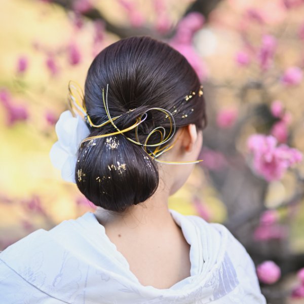 梅の花を背景に、金の水引の髪飾りを添えたタイトなローシニヨン。白無垢で撮る和装前撮りのヘアアレンジ
