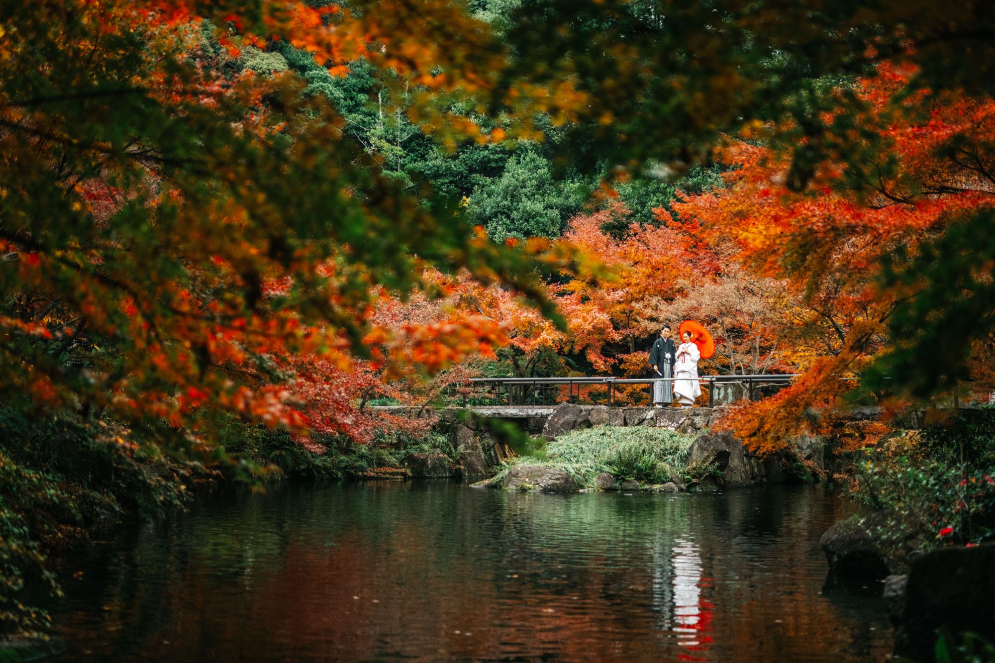 真っ赤な紅葉に囲まれた日本庭園の池にかかる橋で、赤い和傘を差して寄り添う紋付袴の新郎と白無垢の花嫁。水面に映る紅葉の和装前撮り